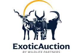 exoticauction.com
