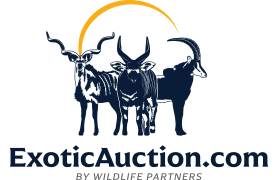 exoticauction.com