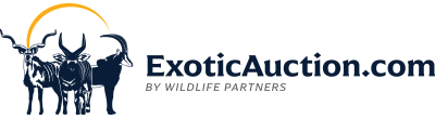 Exotic Auction