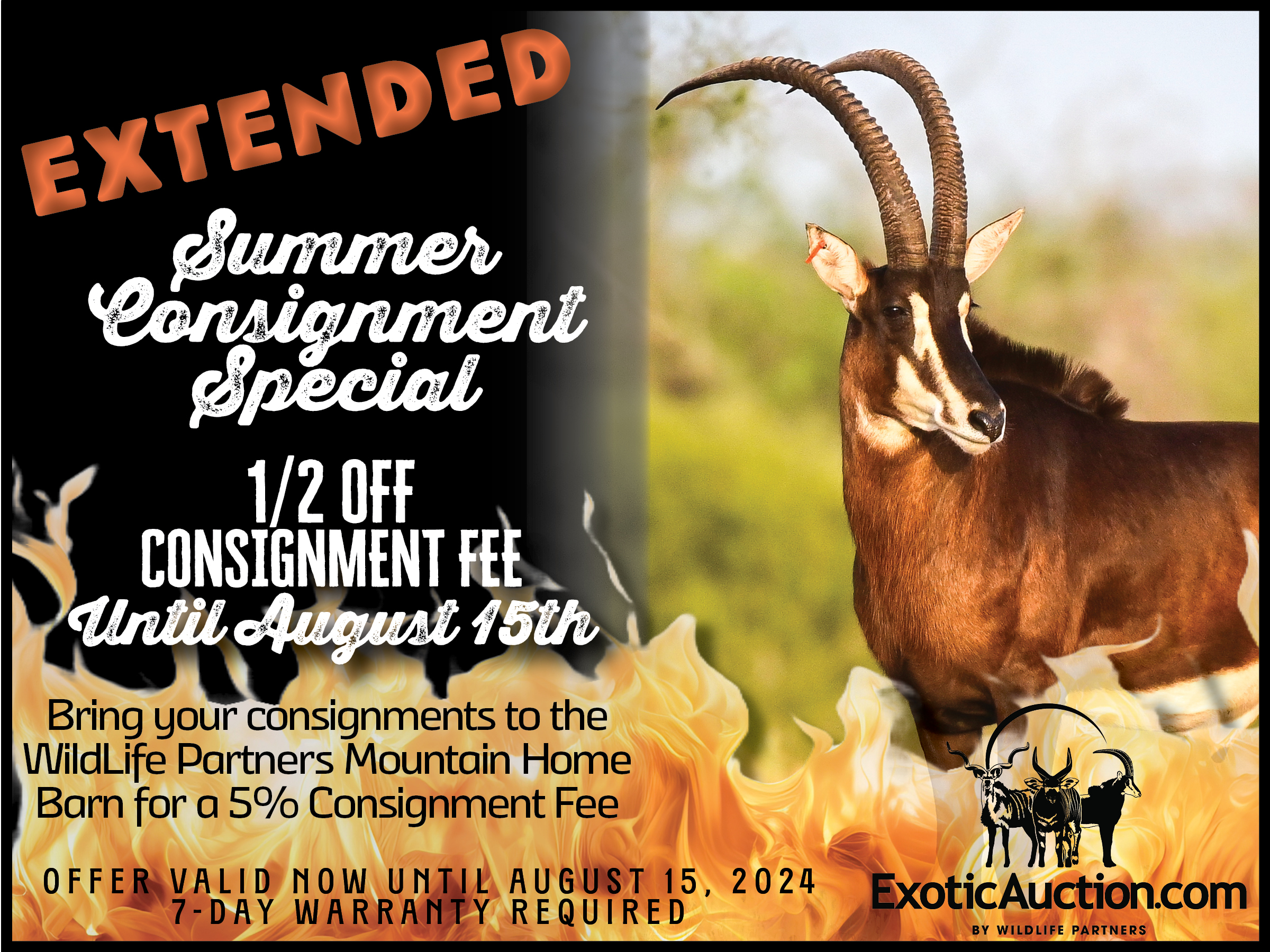 Extended summer consignment special, antelope image.