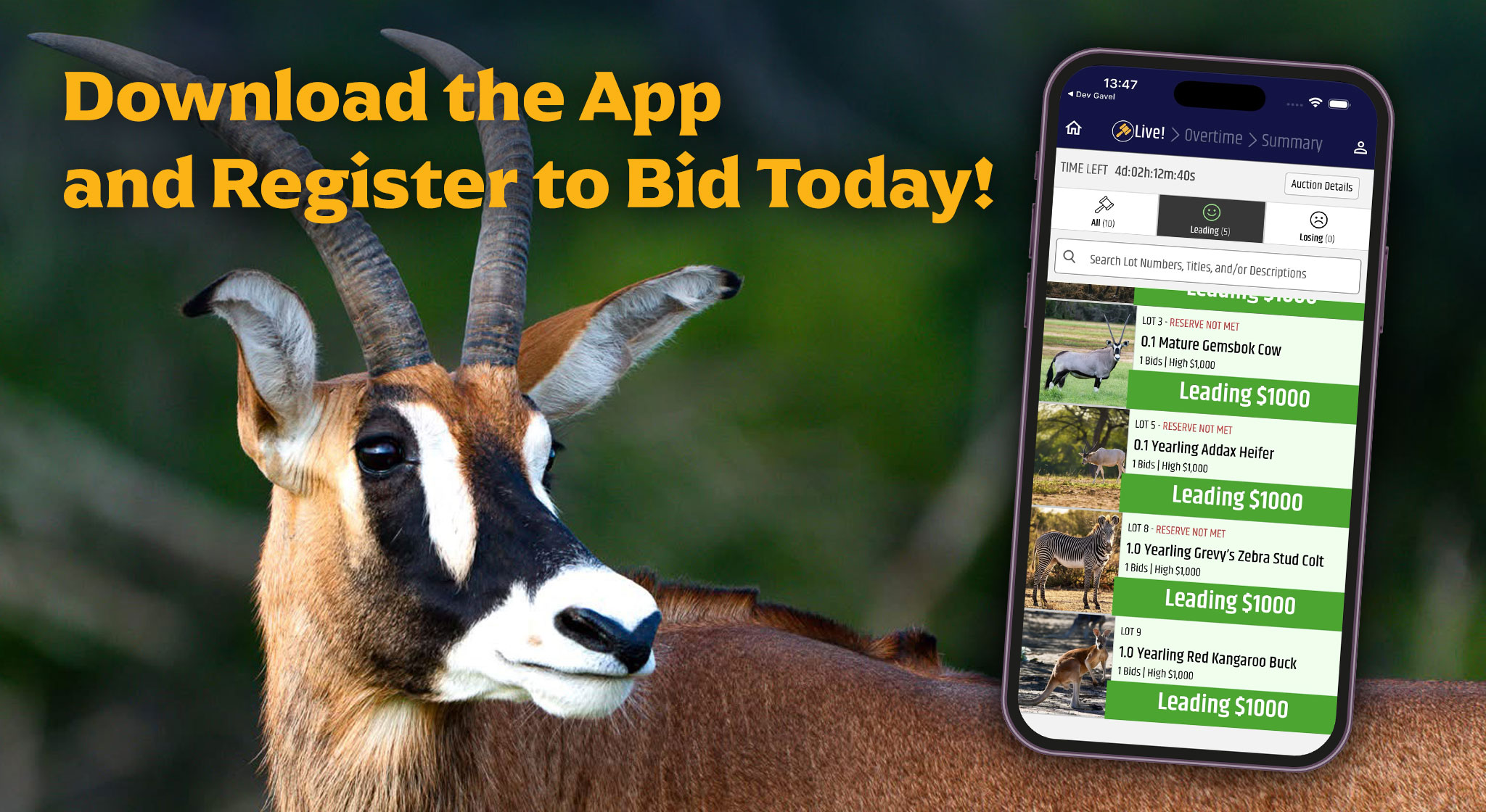 Download the App and Register to Bid